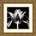 thumbnail image 1 of Delimont, Danita 20x20 Gold Ornate Wood Framed with Double Matting Museum Art Print Titled - Elegant Tulip, 1 of 4