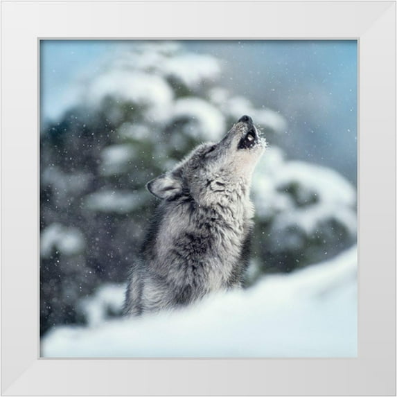 Delimont, Danita 20x20 White Modern Wood Framed Museum Art Print Titled - Winter Howl
