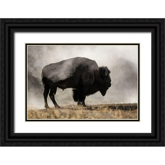Delimont, Danita 24x17 Black Ornate Wood Framed with Double Matting Museum Art Print Titled - Geyser Basin