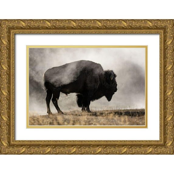 Delimont, Danita 24x17 Gold Ornate Wood Framed with Double Matting Museum Art Print Titled - Geyser Basin