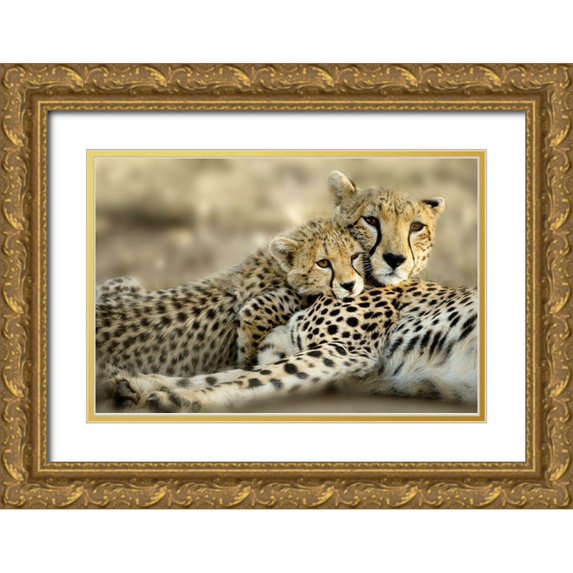 Delimont, Danita 24x17 Gold Ornate Wood Framed with Double Matting Museum Art Print Titled - Kenya Cub