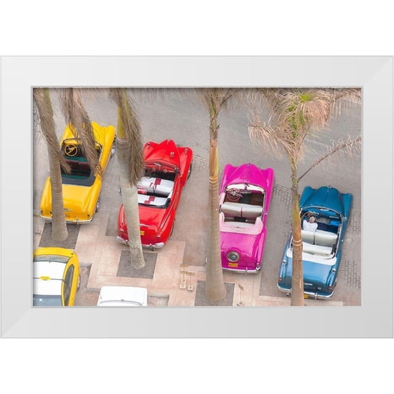 Delimont, Danita 24x17 White Modern Wood Framed Museum Art Print Titled - Colorful Classics