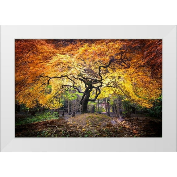 Delimont, Danita 24x17 White Modern Wood Framed Museum Art Print Titled - Hidden Jewel
