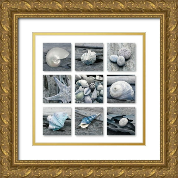 Delimont, Danita 26x26 Gold Ornate Wood Framed with Double Matting Museum Art Print Titled - Driftwood Shell