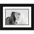 thumbnail image 1 of Delimont, Danita 32x23 Black Ornate Wood Framed with Double Matting Museum Art Print Titled - South Iceland, 1 of 4