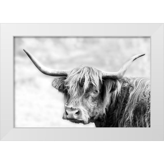 Delimont, Danita 32x23 White Modern Wood Framed Museum Art Print Titled - Hairy Highland Hazy Day