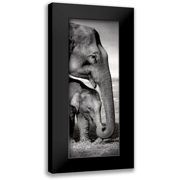Delimont, Danita 7x14 Black Modern Framed Museum Art Print Titled - Indian Elephants