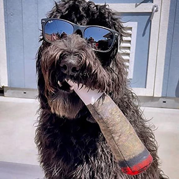 Deliqiba Funny Dog Toys - Plush Squeaky Toys for Medium, Small - Cool Stuffed Cute Gifts for Dog Birthday