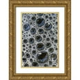 thumbnail image 1 of Delisle, Gilles 11x14 Gold Ornate Wood Framed with Double Matting Museum Art Print Titled - Canada, Quebec Foam caught under ice, 1 of 4