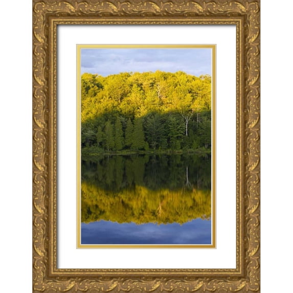 Delisle, Gilles 11x14 Gold Ornate Wood Framed with Double Matting Museum Art Print Titled - Canada, Quebec, Sunset on Lake Long Pond