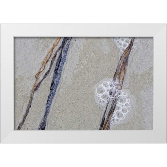 Delisle, Gilles 14x11 White Modern Wood Framed Museum Art Print Titled - USA, Maine, Pine Point Sea weed between waves
