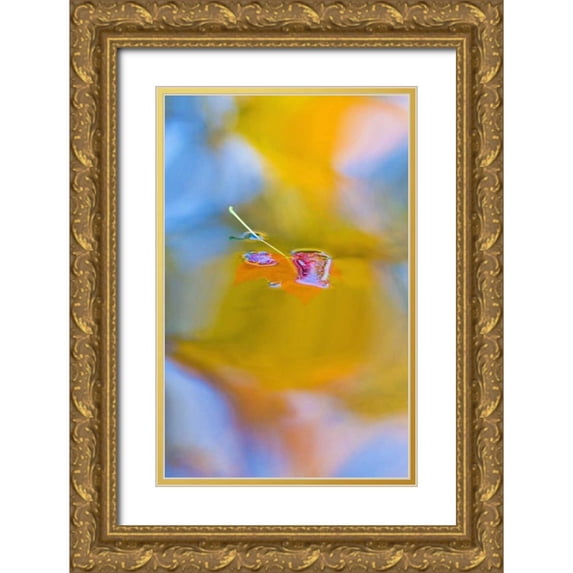 Delisle, Gilles 17x24 Gold Ornate Wood Framed with Double Matting Museum Art Print Titled - Canada, Quebec, Red maple leaf on autumn pool