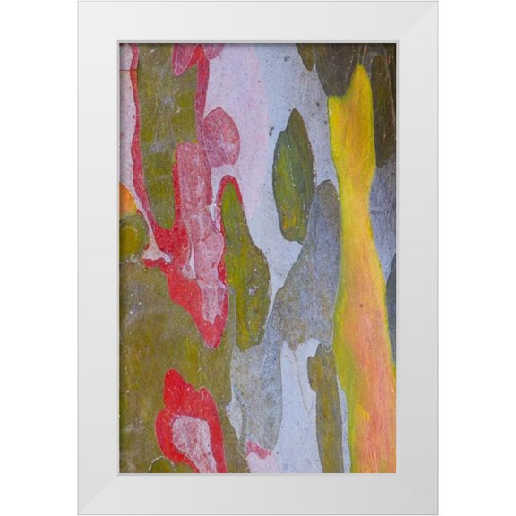 Delisle, Gilles 17x24 White Modern Wood Framed Museum Art Print Titled - Italy, Tuscany Cypress tree bark patterns