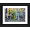 thumbnail image 1 of Delisle, Gilles 18x13 Black Ornate Wood Framed with Double Matting Museum Art Print Titled - Canada, Quebec Aspen poplar trees and pond, 1 of 4