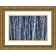 thumbnail image 1 of Delisle, Gilles 18x13 Gold Ornate Wood Framed with Double Matting Museum Art Print Titled - Canada, Quebec, Yamaska NP Gray birch forest, 1 of 4