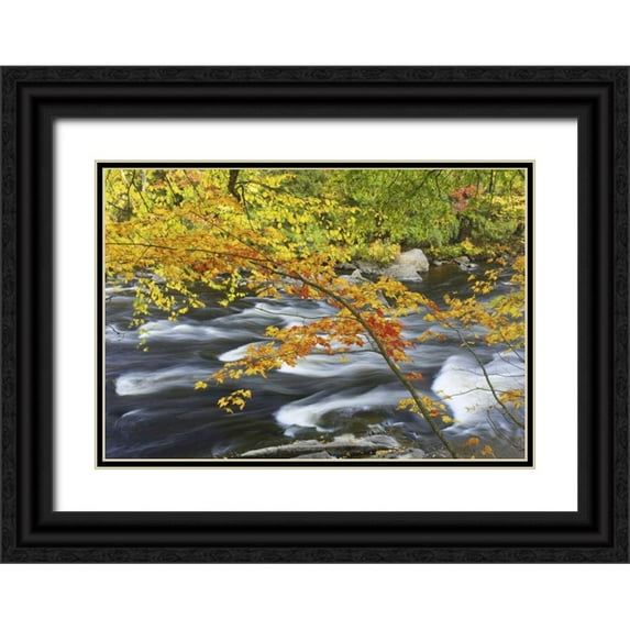 Delisle, Gilles 24x18 Black Ornate Wood Framed with Double Matting Museum Art Print Titled - Canada, Fall maple foliage above river rapids