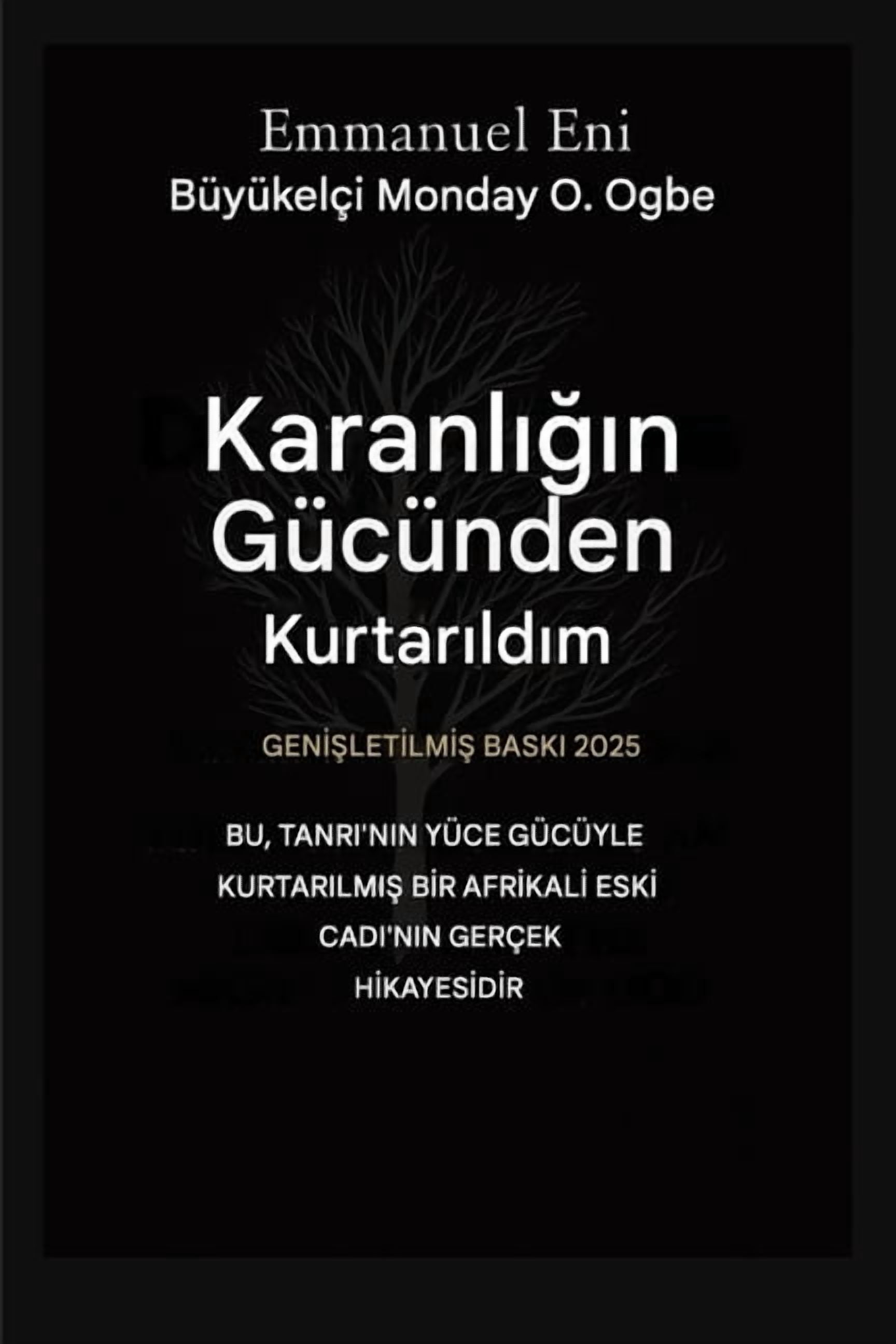 Delivered from Power of Darkness Karanlığın GÃ¼cÃ¼nden Kurtarıldım - Genişletilmiş Baskı 2025: Bu, Tanri'nin Kocama, Book 1, (Paperback)