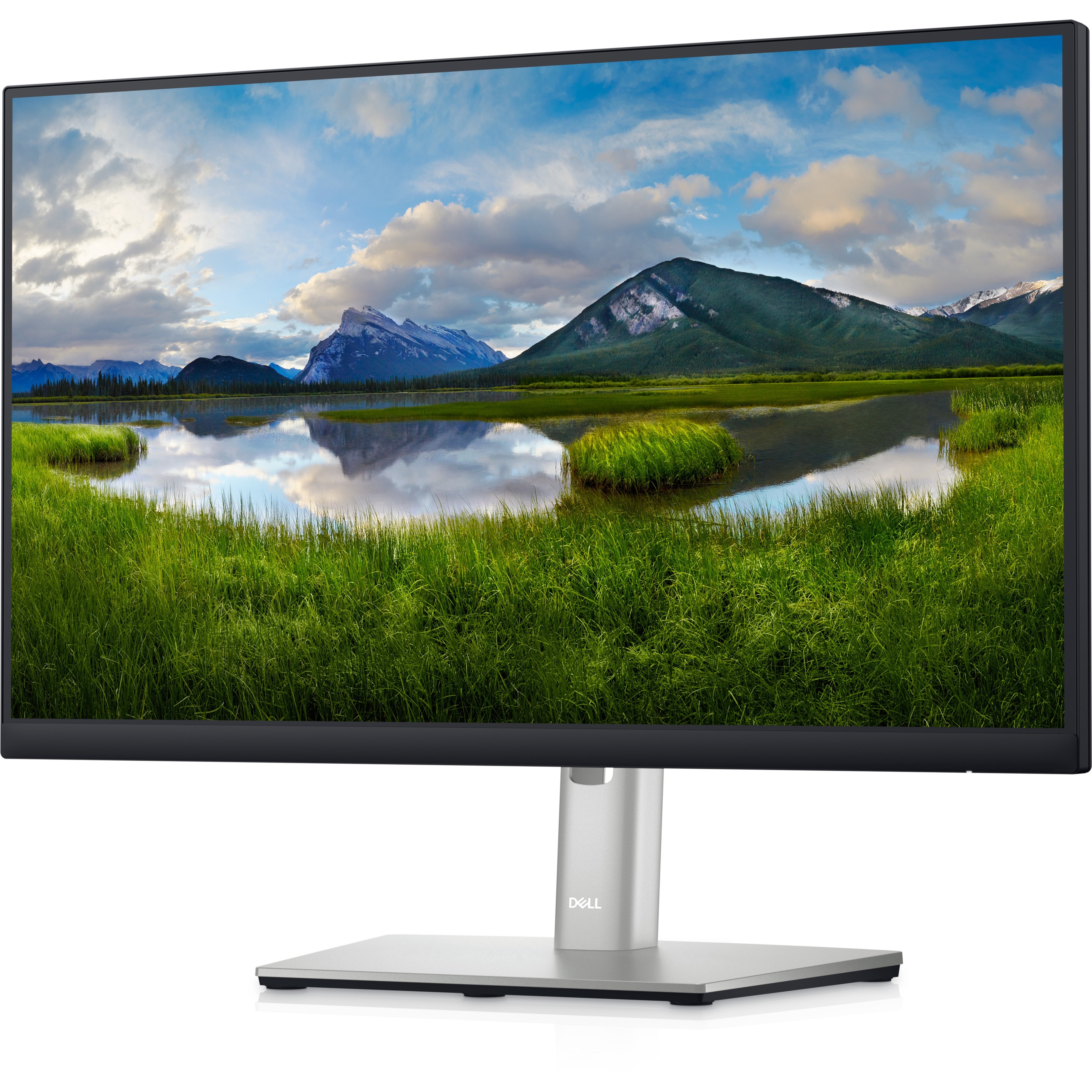 Dell 22