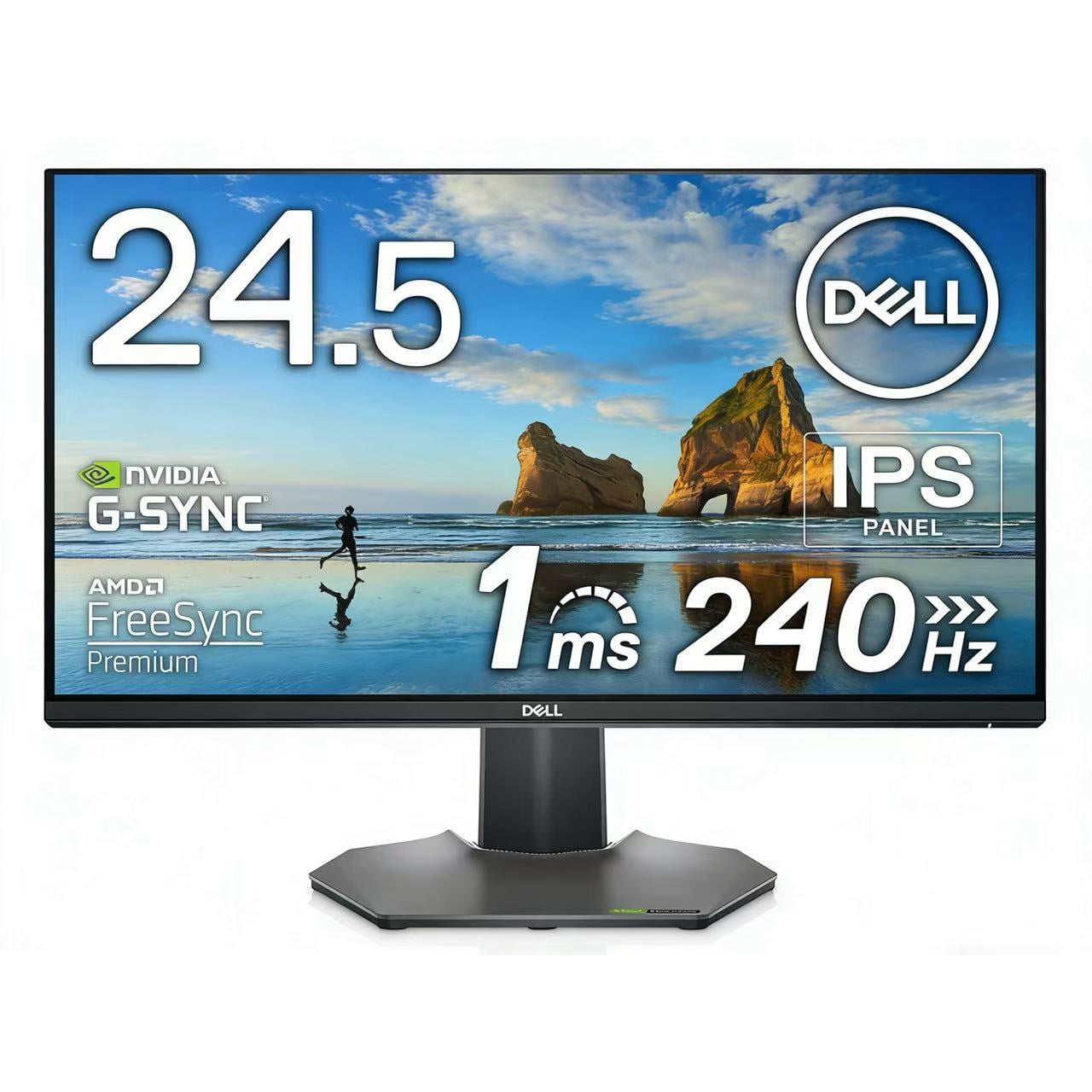 Dell 24.5
