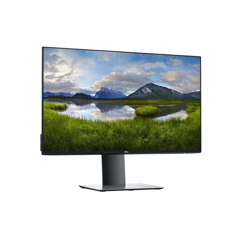 Dell 24