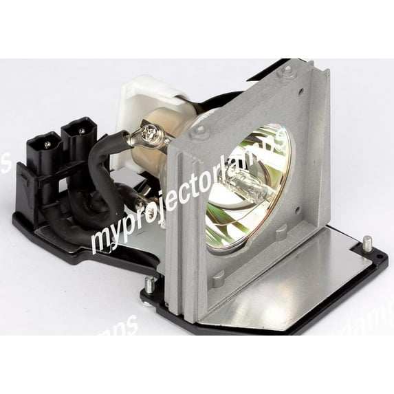 Dell 310-5513 Projector Lamp with Module