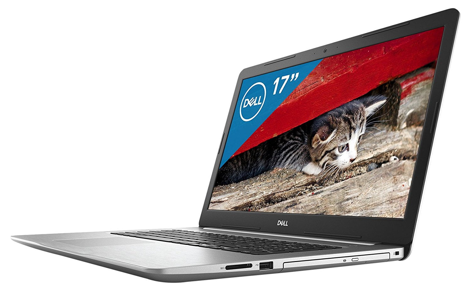 Schermo Dell Inspiron 17.3 Pollici Full HD &ndash; Originale, Argento, Usato