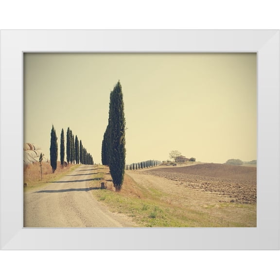 Della Latta, Massimo 14x12 White Modern Wood Framed Museum Art Print Titled - Tuscan Countryside