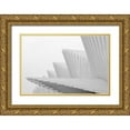 thumbnail image 1 of Della Latta, Massimo 24x17 Gold Ornate Wood Framed with Double Matting Museum Art Print Titled - Fly, 1 of 4