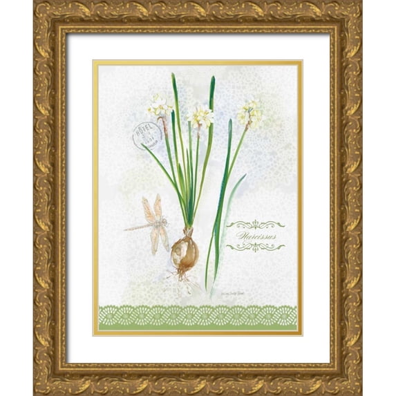 Della-Piana, Elissa 12x14 Gold Ornate Wood Framed with Double Matting Museum Art Print Titled - Flower Study on Lace XII