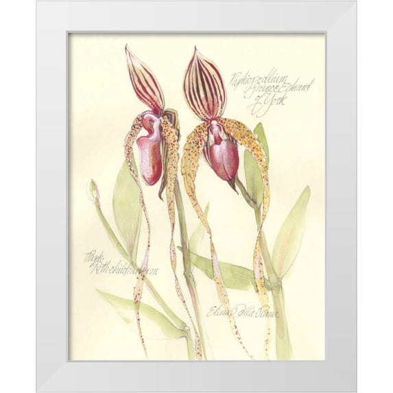 Della-Piana, Elissa 12x14 White Modern Wood Framed Museum Art Print Titled - Elissas Garden VIII