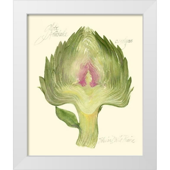 Della-Piana, Elissa 15x17 White Modern Wood Framed Museum Art Print Titled - Globe Artichoke