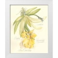 thumbnail image 1 of Della-Piana, Elissa 15x18 White Modern Wood Framed Museum Art Print Titled - Elissas Garden III, 1 of 4