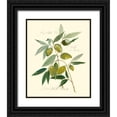 thumbnail image 1 of Della-Piana, Elissa 26x31 Black Ornate Wood Framed with Double Matting Museum Art Print Titled - Ascolane Olives, 1 of 4