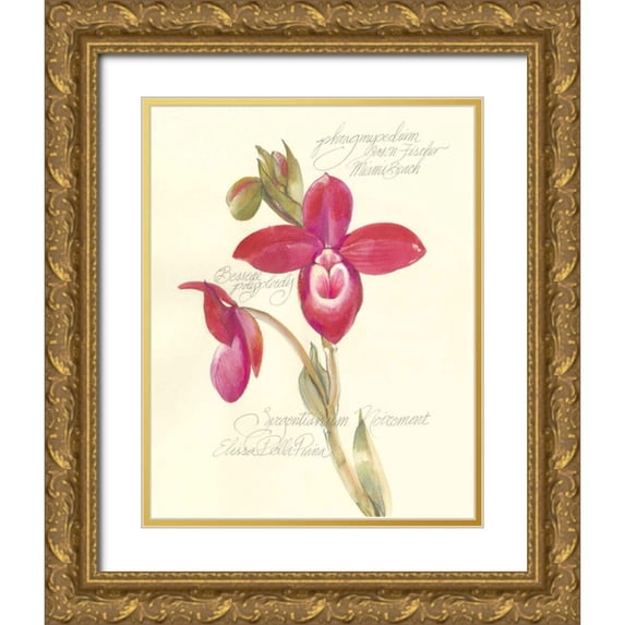 Della-Piana, Elissa 26x32 Gold Ornate Wood Framed with Double Matting Museum Art Print Titled - Elissas Garden II