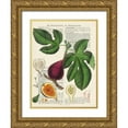 thumbnail image 1 of Dellal, Remy 12x14 Gold Ornate Wood Framed with Double Matting Museum Art Print Titled - Fruits de saison, Figues, 1 of 4