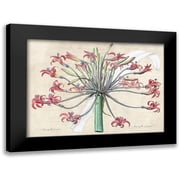 Dellal, Remy 14x11 Black Modern Framed Museum Art Print Titled - Josephines lily- After Redoute