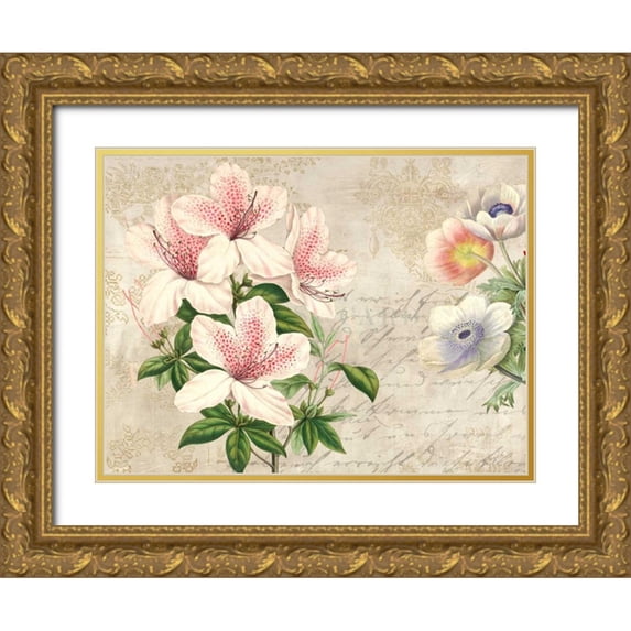 Dellal, Remy 14x12 Gold Ornate Wood Framed with Double Matting Museum Art Print Titled - Botanique Moderne II