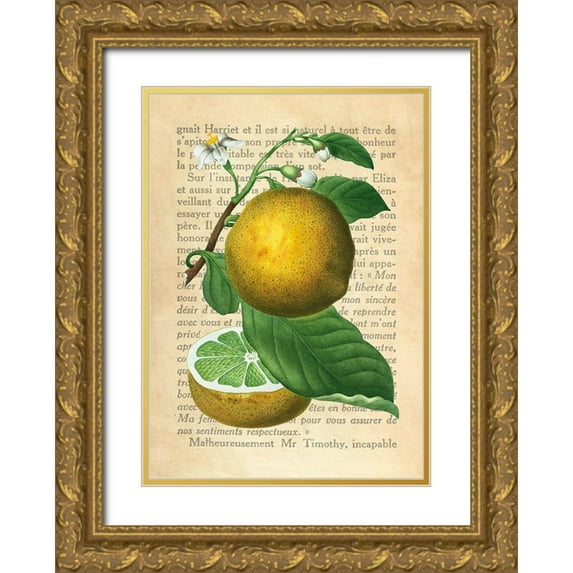 Dellal, Remy 14x18 Gold Ornate Wood Framed with Double Matting Museum Art Print Titled - Grapefruit- After Redoute