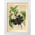 thumbnail image 1 of Dellal, Remy 14x18 White Modern Wood Framed Museum Art Print Titled - Cherries- After J. Wright, 1 of 4