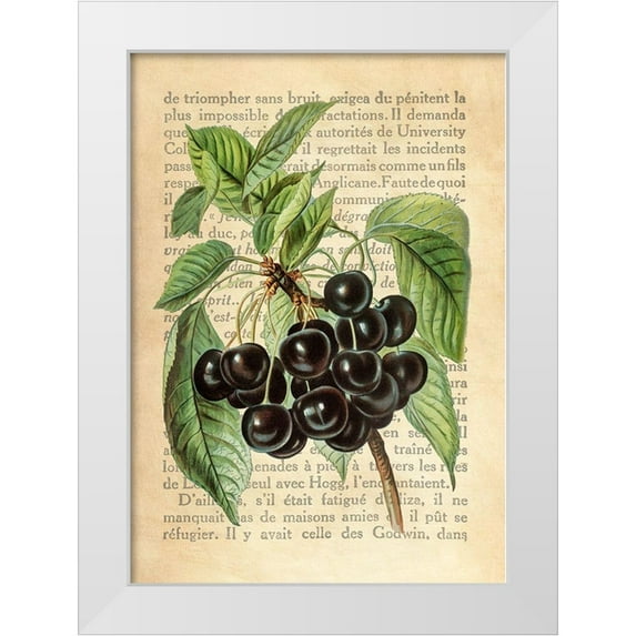 Dellal, Remy 14x18 White Modern Wood Framed Museum Art Print Titled - Cherries- After J. Wright