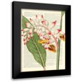 thumbnail image 1 of Dellal, Remy 15x18 Black Modern Framed Museum Art Print Titled - Vintage Botany II, 1 of 5