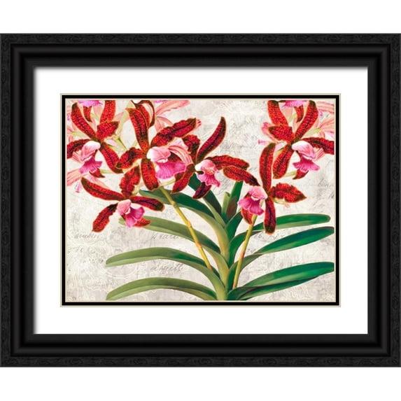 Dellal, Remy 18x15 Black Ornate Wood Framed with Double Matting Museum Art Print Titled - Botanique Moderne I