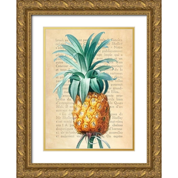 Dellal, Remy 19x24 Gold Ornate Wood Framed with Double Matting Museum Art Print Titled - Pineapple- After Redoute