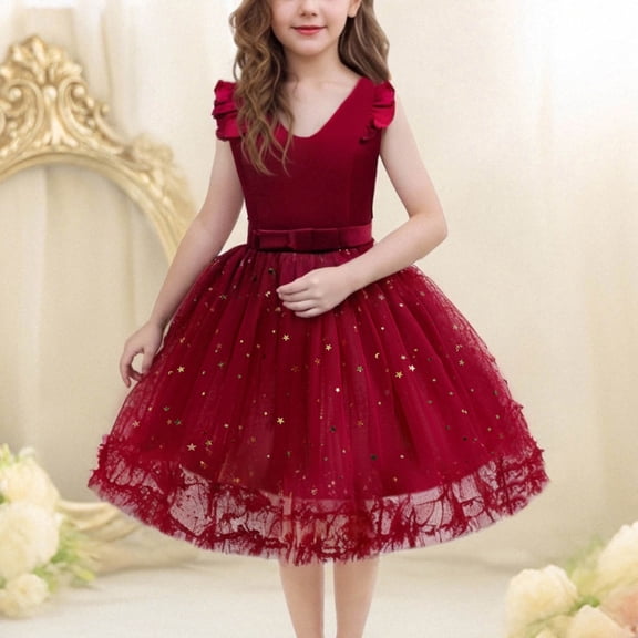 Delliss Girl's Crew Neck Solid Color Mesh Sleeveless Puffy Skirt Princess Hollow Lace Dress 2-12 Years