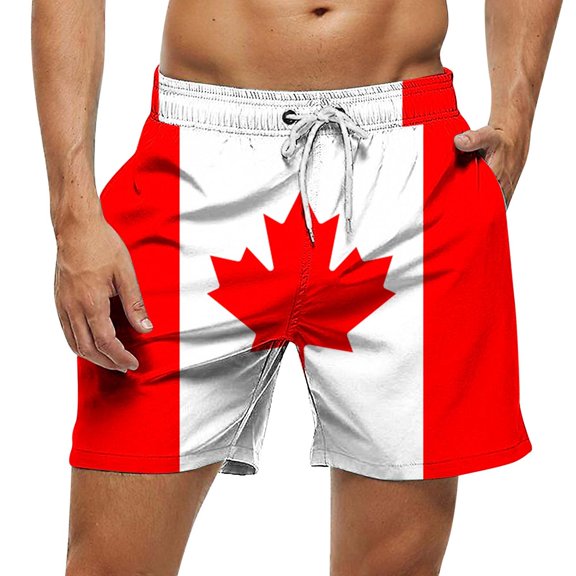 Delliss Mens Shorts Flat Front Casual Elastic Waist Drawstring Summer Beach Vacation Shorts with Pocket