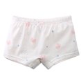 thumbnail image 1 of Delliss Toddler Girls Cotton Underwear Soft Kids Cute pattern Boxer Briefs, 1 of 3