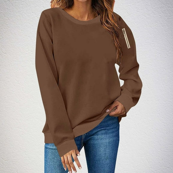 Delliss Women's Solid Color Loose Blouse Crew Neck Trendy Shirt Long Sleeve Basic Top Brown XL