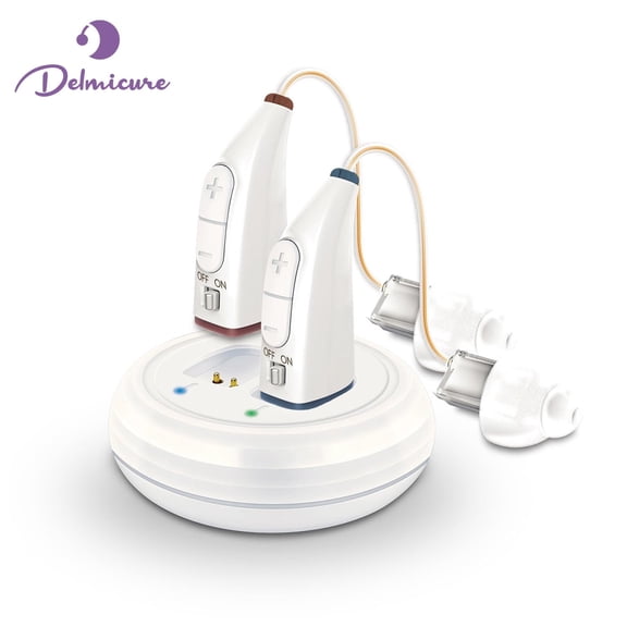 Delmicure Hearing Aids for Seniors with Noise Cancelling, Hearing Devices for Adults with Adjustable Volume& Charging Case - Rechargeable Sound Devices for Adults