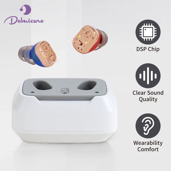 Delmicure Hearing Aids HH-1631 Premium Rechargeable Hearing Aids for Hearing Loss with Charging Dock for Seniors (Knob-Controlled)