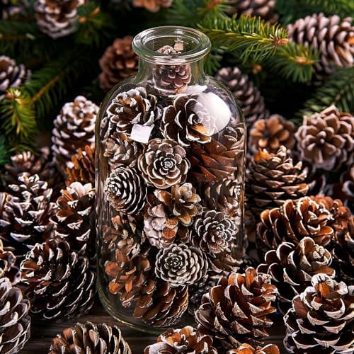 Deloky 700 Pcs Christmas Natural Mini Pine Cones- 1" Small Christmas Snow Pinecones Ornaments- Thanksgiving Mini Snow Pinecones for DIY Crafts Vase Fillers Fall Winter Home Christmas Tree Decor